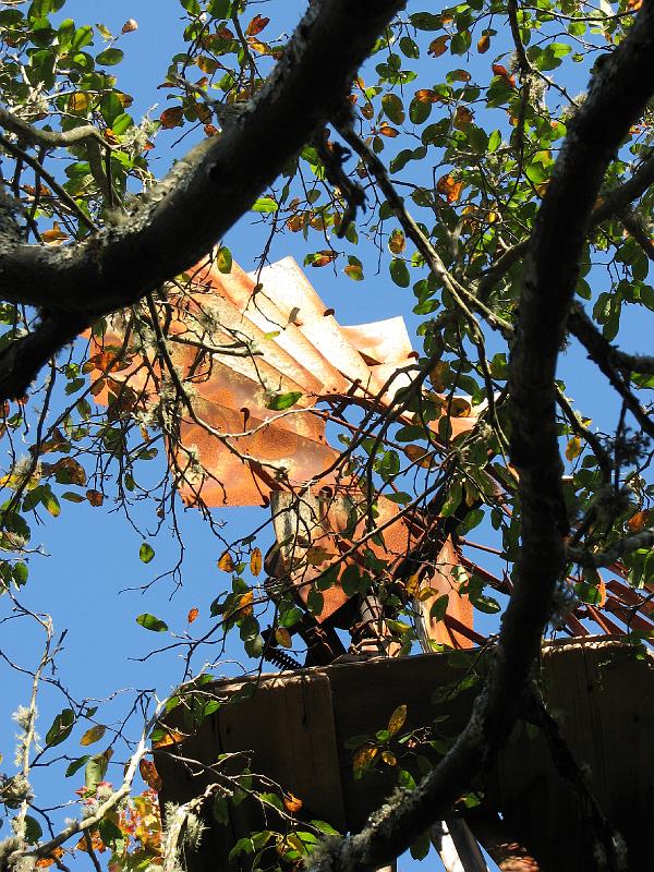 2008-10-11_Tiverton_Trustom 060.jpg